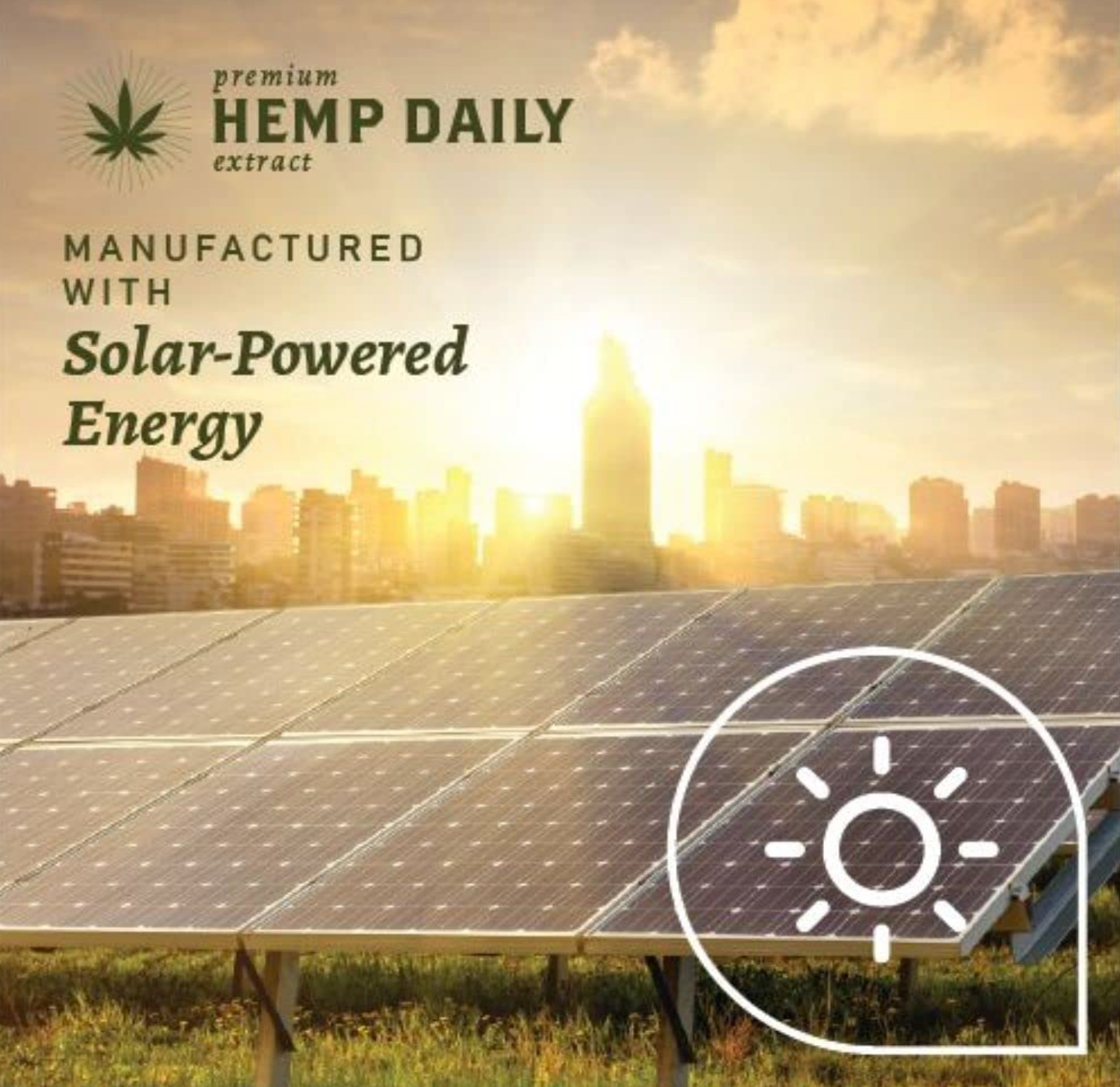 Hemp Daily Intensive Cream | Hemp Cream with Essential Oils | Vegan, Organic Ingredients | 1.7 Ounces (Original Triple Strength, Single)